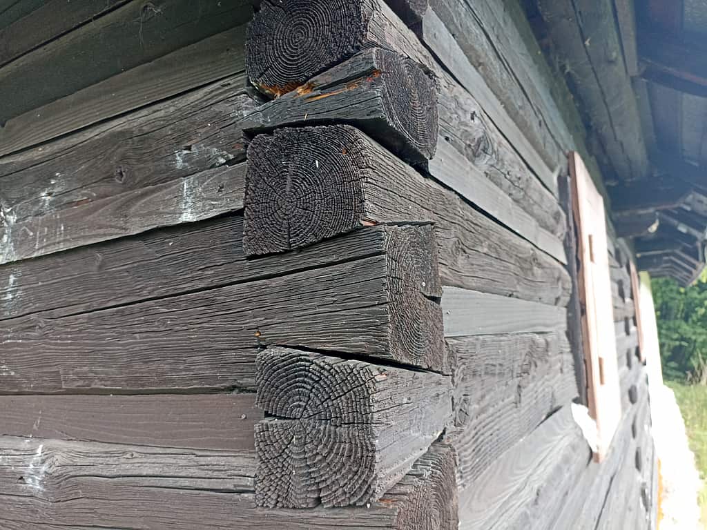 Na starobylých dreveniciach nájdete len hranoly