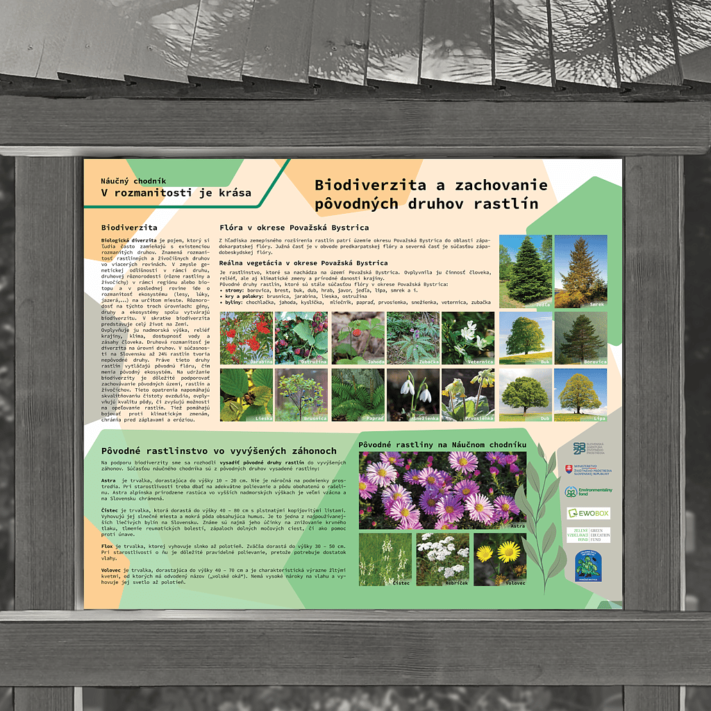Biodiverzita a druhy rastlín