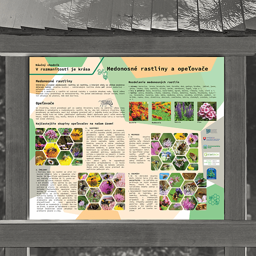 Medonosné rastliny a opeľovače