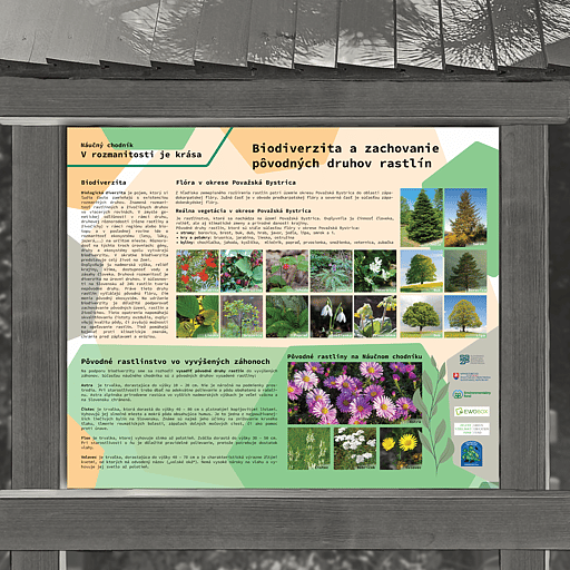 Biodiverzita a druhy rastlín