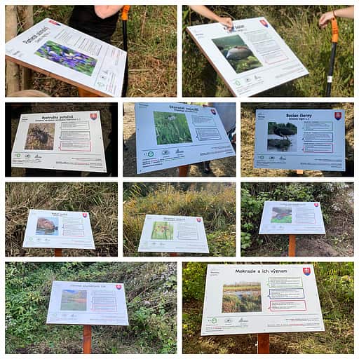 Náučný chodník o faune a flóre mokradí