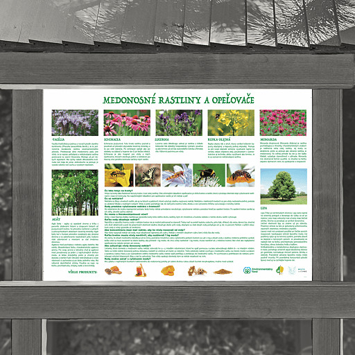 Medonosné rastliny, opeľovače a včelie produkty