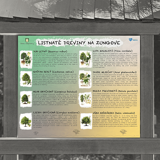 Listnaté stromy (Na Zungove)