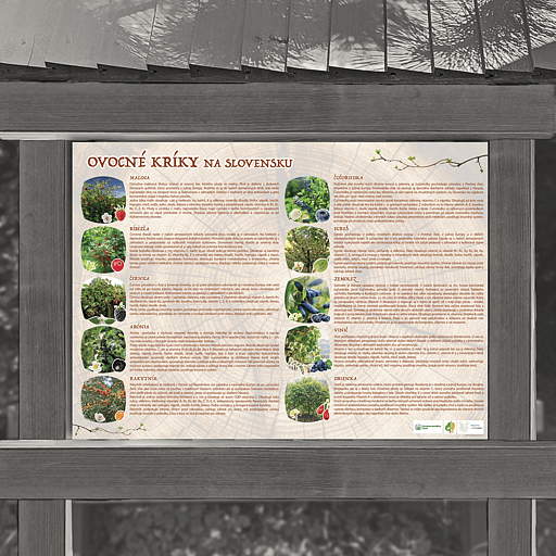 Ovocné kríky na Slovensku