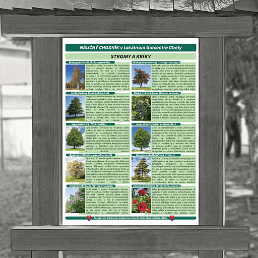 Druhy kríkov a stromov