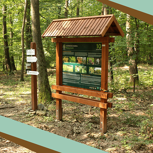 Drevená náučná tabuľa v lese – ukážka realizácie